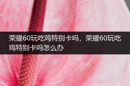 荣耀60玩吃鸡特别卡吗，荣耀60玩吃鸡特别卡吗怎么办