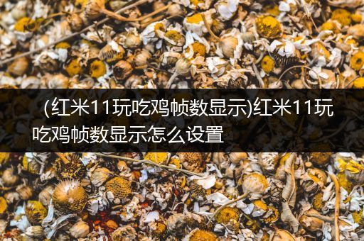 （红米11玩吃鸡帧数显示)红米11玩吃鸡帧数显示怎么设置