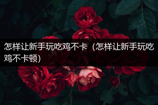 怎样让新手玩吃鸡不卡（怎样让新手玩吃鸡不卡顿）