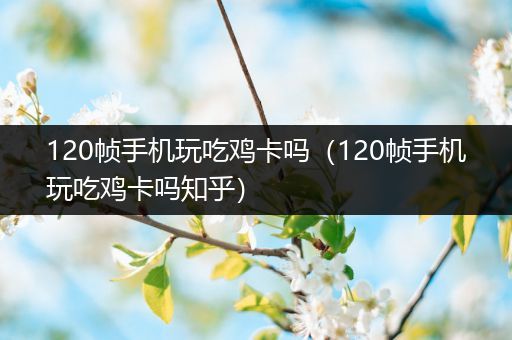 120帧手机玩吃鸡卡吗（120帧手机玩吃鸡卡吗知乎）