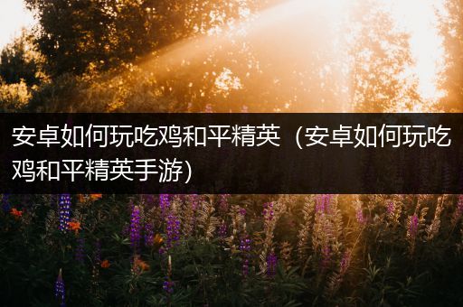 安卓如何玩吃鸡和平精英（安卓如何玩吃鸡和平精英手游）