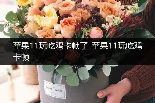 苹果11玩吃鸡卡帧了-苹果11玩吃鸡卡顿