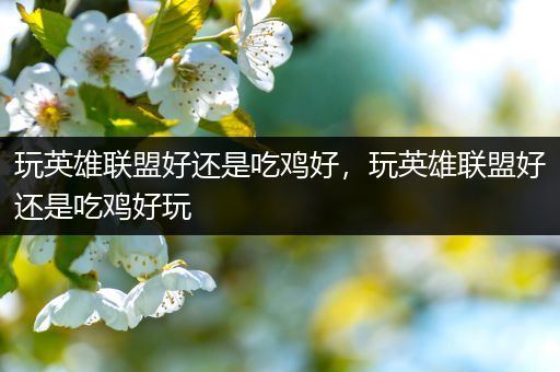 玩英雄联盟好还是吃鸡好，玩英雄联盟好还是吃鸡好玩