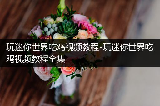 玩迷你世界吃鸡视频教程-玩迷你世界吃鸡视频教程全集
