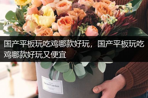 国产平板玩吃鸡哪款好玩，国产平板玩吃鸡哪款好玩又便宜