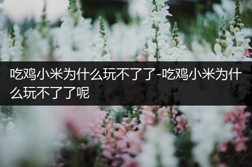 吃鸡小米为什么玩不了了-吃鸡小米为什么玩不了了呢