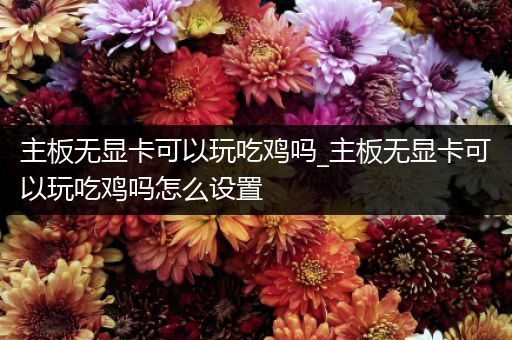 主板无显卡可以玩吃鸡吗_主板无显卡可以玩吃鸡吗怎么设置