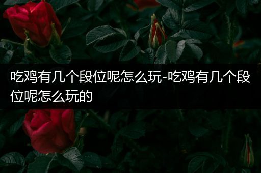 吃鸡有几个段位呢怎么玩-吃鸡有几个段位呢怎么玩的