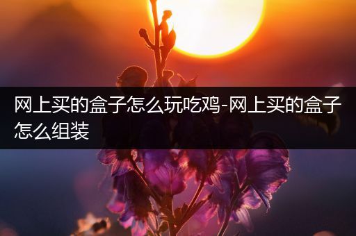 网上买的盒子怎么玩吃鸡-网上买的盒子怎么组装