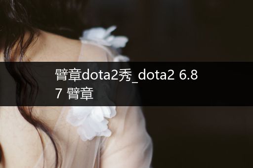 臂章dota2秀_dota2 6.87 臂章