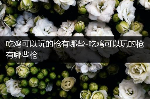 吃鸡可以玩的枪有哪些-吃鸡可以玩的枪有哪些枪