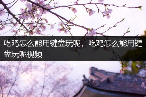 吃鸡怎么能用键盘玩呢，吃鸡怎么能用键盘玩呢视频