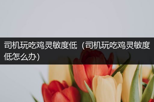 司机玩吃鸡灵敏度低（司机玩吃鸡灵敏度低怎么办）