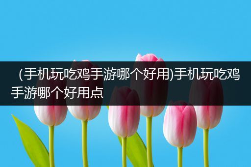 （手机玩吃鸡手游哪个好用)手机玩吃鸡手游哪个好用点