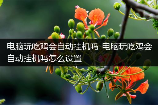 电脑玩吃鸡会自动挂机吗-电脑玩吃鸡会自动挂机吗怎么设置