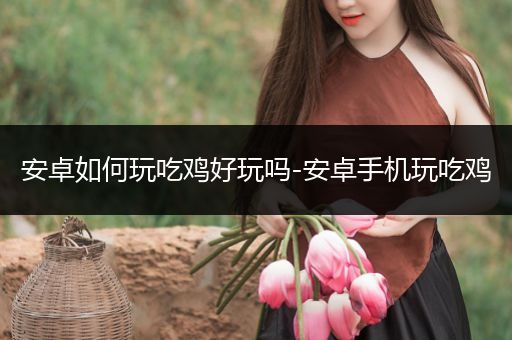 安卓如何玩吃鸡好玩吗-安卓手机玩吃鸡