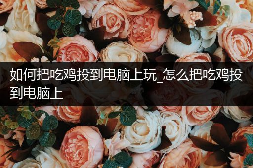 如何把吃鸡投到电脑上玩_怎么把吃鸡投到电脑上