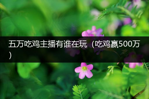 五万吃鸡主播有谁在玩（吃鸡赢500万）