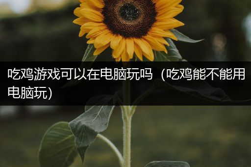吃鸡游戏可以在电脑玩吗（吃鸡能不能用电脑玩）