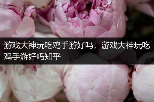 游戏大神玩吃鸡手游好吗，游戏大神玩吃鸡手游好吗知乎