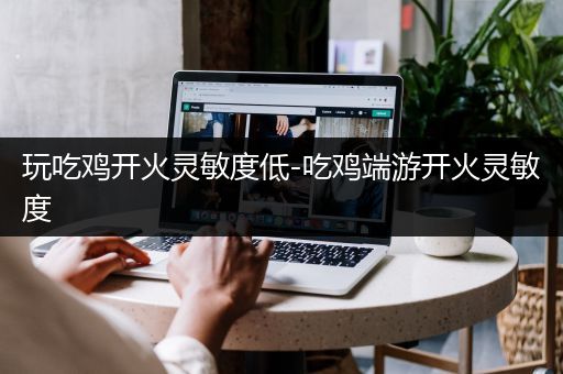 玩吃鸡开火灵敏度低-吃鸡端游开火灵敏度