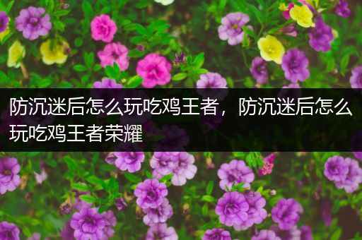 防沉迷后怎么玩吃鸡王者，防沉迷后怎么玩吃鸡王者荣耀