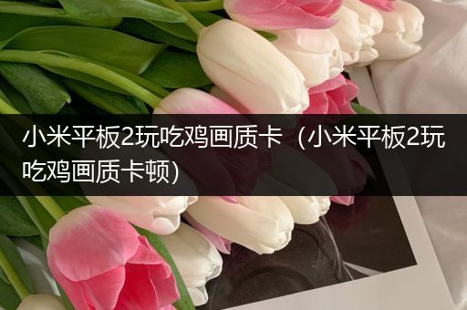 小米平板2玩吃鸡画质卡（小米平板2玩吃鸡画质卡顿）