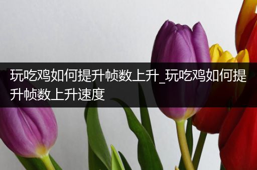 玩吃鸡如何提升帧数上升_玩吃鸡如何提升帧数上升速度