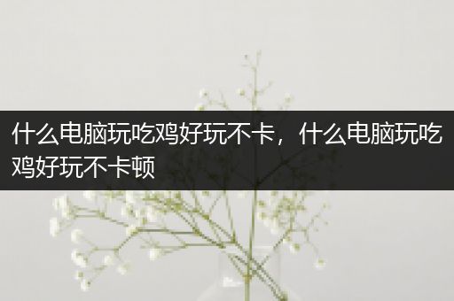 什么电脑玩吃鸡好玩不卡，什么电脑玩吃鸡好玩不卡顿