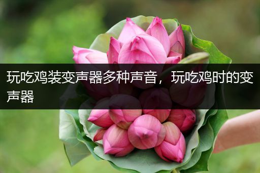 玩吃鸡装变声器多种声音，玩吃鸡时的变声器