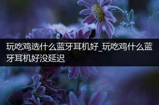 玩吃鸡选什么蓝牙耳机好_玩吃鸡什么蓝牙耳机好没延迟
