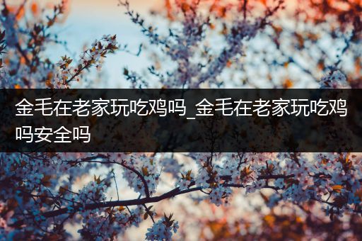 金毛在老家玩吃鸡吗_金毛在老家玩吃鸡吗安全吗