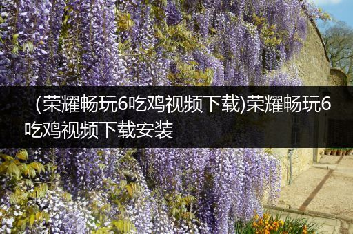 （荣耀畅玩6吃鸡视频下载)荣耀畅玩6吃鸡视频下载安装