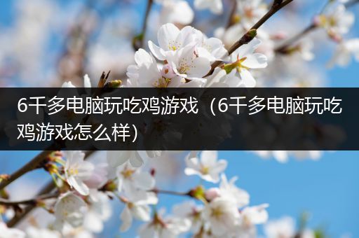 6千多电脑玩吃鸡游戏（6千多电脑玩吃鸡游戏怎么样）