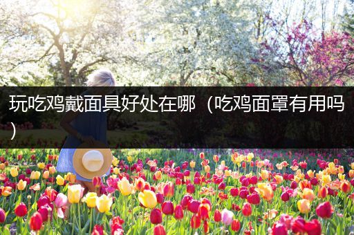 玩吃鸡戴面具好处在哪（吃鸡面罩有用吗）