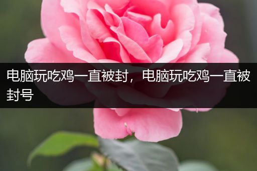 电脑玩吃鸡一直被封，电脑玩吃鸡一直被封号