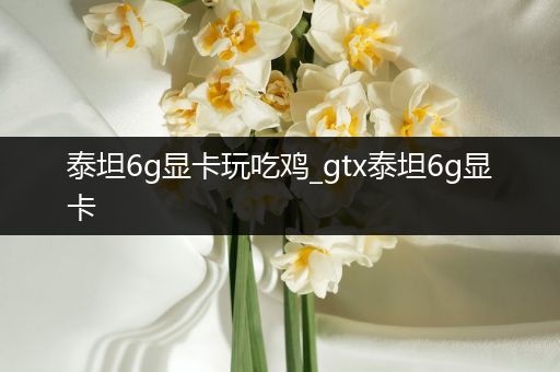 泰坦6g显卡玩吃鸡_gtx泰坦6g显卡