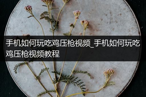手机如何玩吃鸡压枪视频_手机如何玩吃鸡压枪视频教程