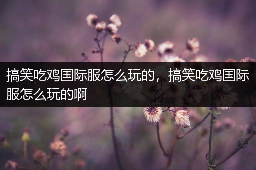 搞笑吃鸡国际服怎么玩的，搞笑吃鸡国际服怎么玩的啊