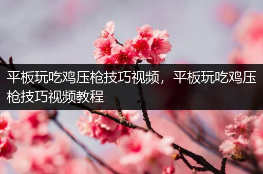 平板玩吃鸡压枪技巧视频，平板玩吃鸡压枪技巧视频教程