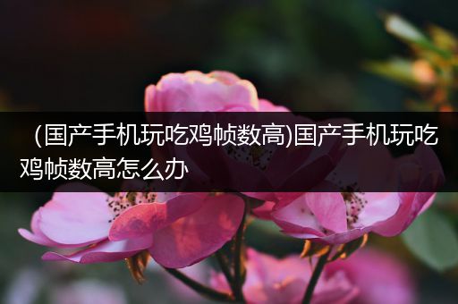 （国产手机玩吃鸡帧数高)国产手机玩吃鸡帧数高怎么办
