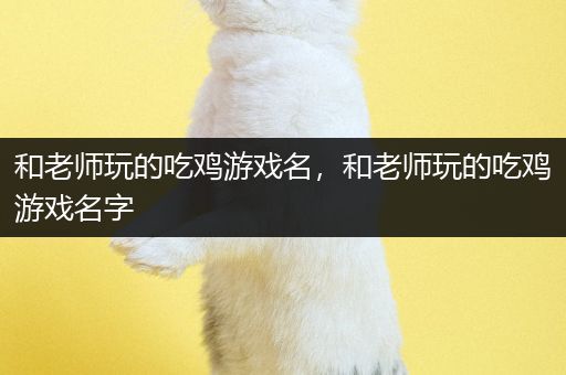 和老师玩的吃鸡游戏名，和老师玩的吃鸡游戏名字