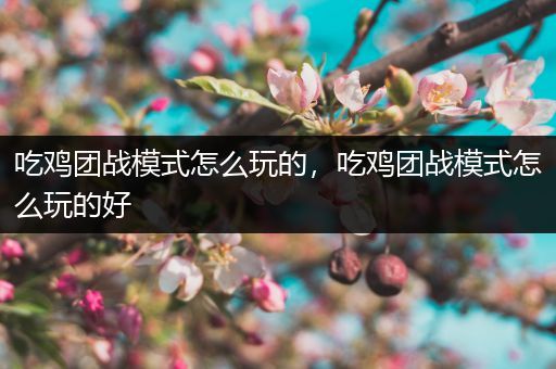 吃鸡团战模式怎么玩的，吃鸡团战模式怎么玩的好