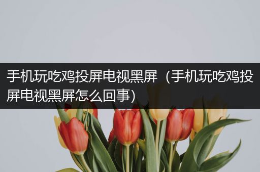 手机玩吃鸡投屏电视黑屏（手机玩吃鸡投屏电视黑屏怎么回事）