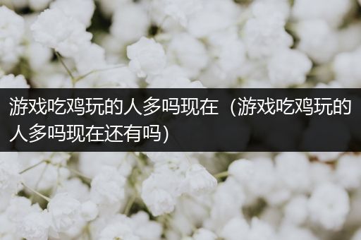 游戏吃鸡玩的人多吗现在（游戏吃鸡玩的人多吗现在还有吗）