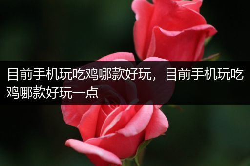 目前手机玩吃鸡哪款好玩，目前手机玩吃鸡哪款好玩一点