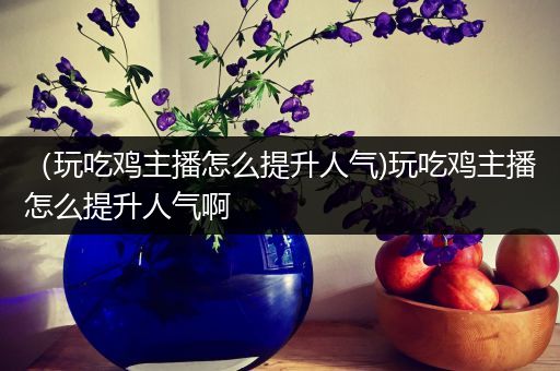 （玩吃鸡主播怎么提升人气)玩吃鸡主播怎么提升人气啊