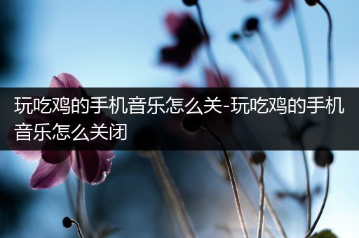 玩吃鸡的手机音乐怎么关-玩吃鸡的手机音乐怎么关闭