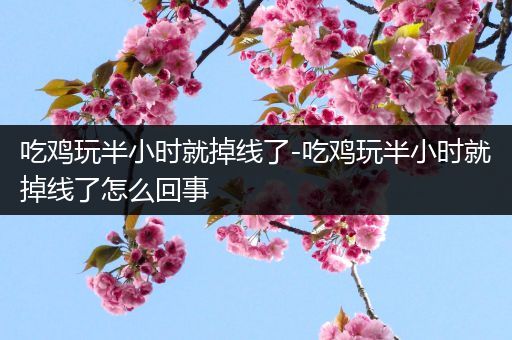 吃鸡玩半小时就掉线了-吃鸡玩半小时就掉线了怎么回事
