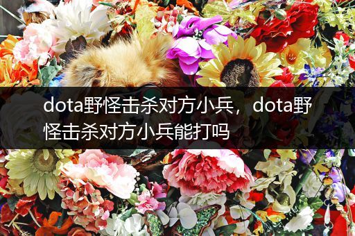 dota野怪击杀对方小兵，dota野怪击杀对方小兵能打吗